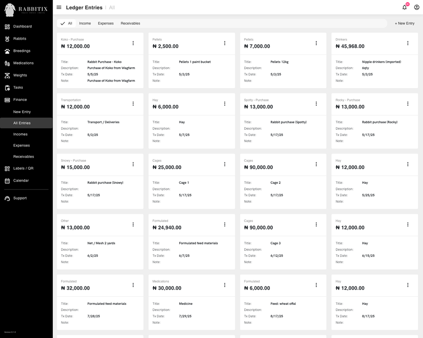 Financial ledger screenshot